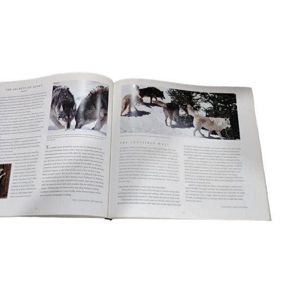 Vintage HC Book 'Wolf - Spirit of the Wild' The Nature Company 1st Printing 1993 - Picture 7 of 9